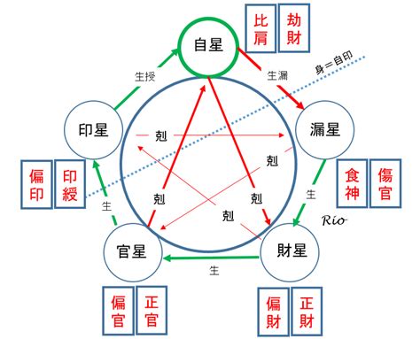 身旺身弱|命式の身旺と身弱の判断